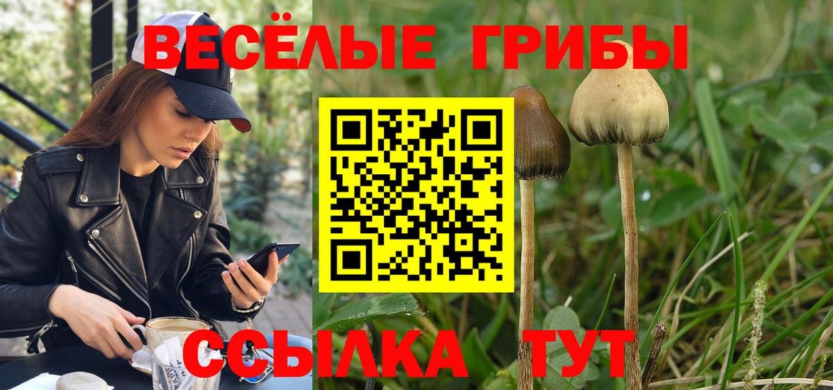 Галлюциногенные грибы мицелий Лесной