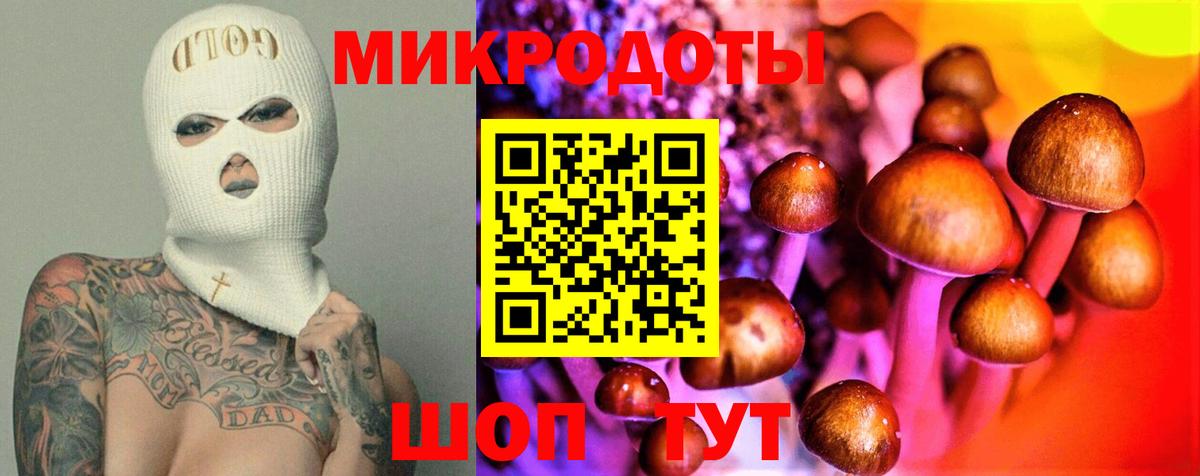 Лесной  Псилоцибиновые грибы прущие грибы  Галлюциногенные грибы мицелий  Вход с VPN 