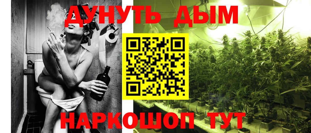 Лесной  Канабис сатива  Вход с VPN  Марихуана ГИДРОПОН  Канабис LSD WEED 